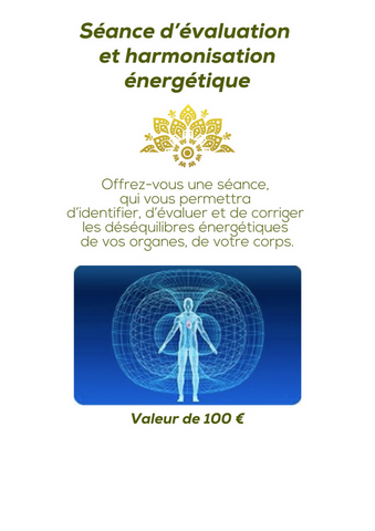 seance complète de biorésonance 2