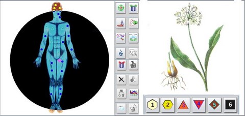 biorésonace étape 4